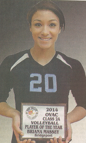 Volleyball Standout