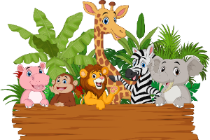 Animals
